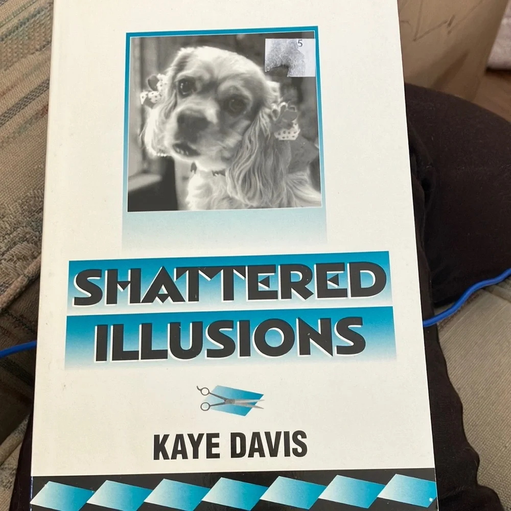 Shattered illusions book